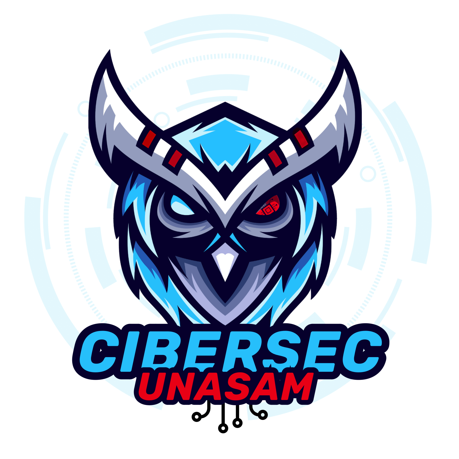 Cibersec UNASAM